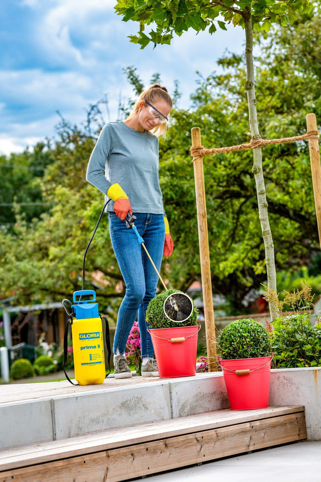 Kit phytosanitaire 2-en-1 270° – Lance pour application précise contre la pyrale du buis