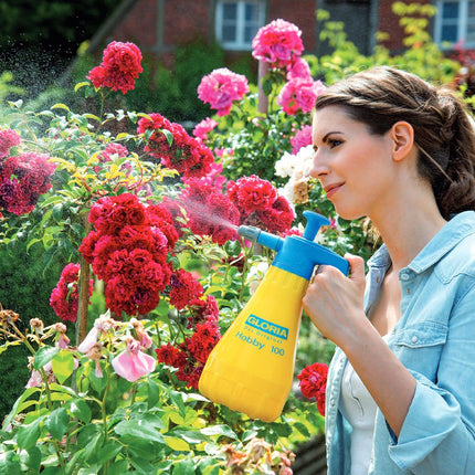 Drucksprühgerät Hobby 100 - 1,0 L Handsprüher mit verstellbarer Düse